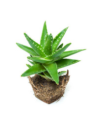 Similar image 12218615