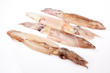 Similar image 12202151