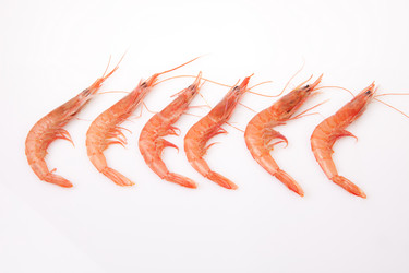 Similar image 12202169