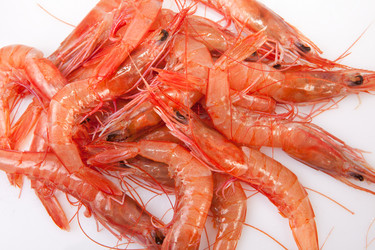 Similar image 12201823