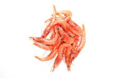 Similar image 12201841