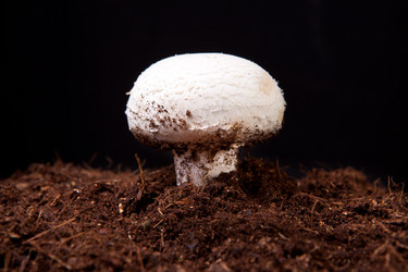 Similar image 12202211