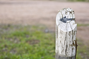 Similar image 12205199