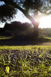 Similar image 12220424