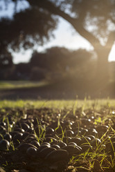 Similar image 12220425