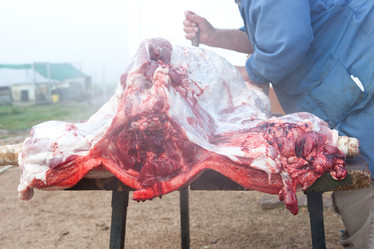 Similar image 12201779