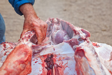 Similar image 12202019