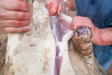 Similar image 12201790