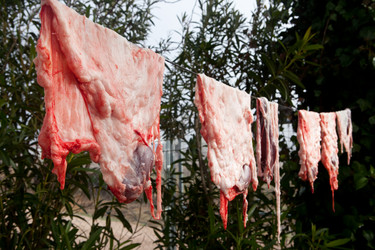 Similar image 12202037