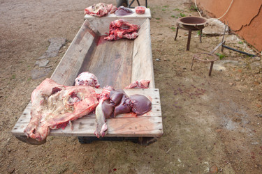 Similar image 12202073