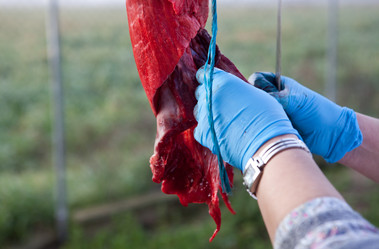 Similar image 12202074