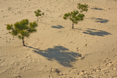 Similar image 12202243