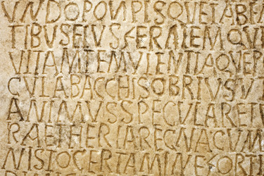 Similar image 12202038