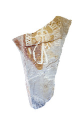 Similar image 12205179