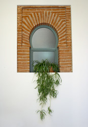 Similar image 12205201