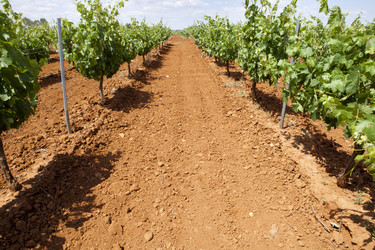 Similar image 12202020