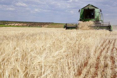 Similar image 12201793