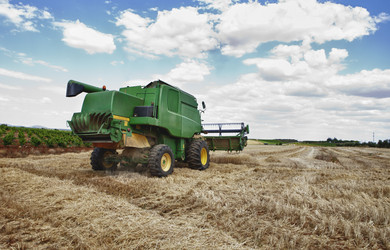 Similar image 12201794