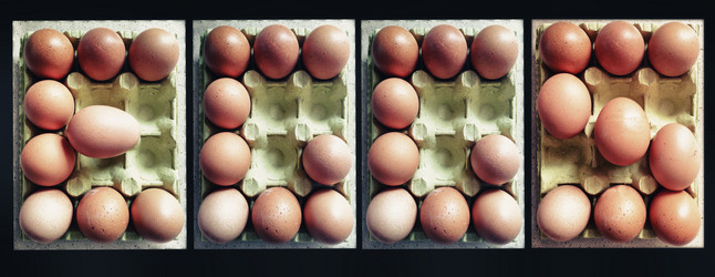 Similar image 12202094