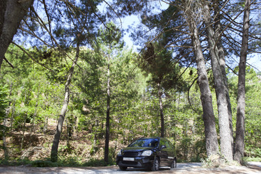 Similar image 12202219