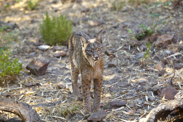 Similar image 12205409