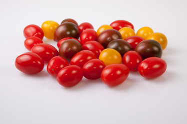 Similar image 12202046