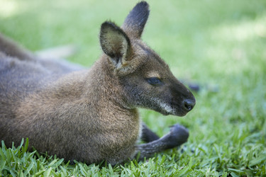 Similar image 12202199