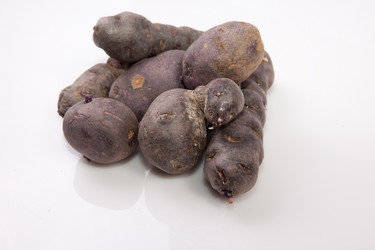 Similar image 12205165