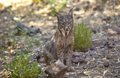 Similar image 12205205