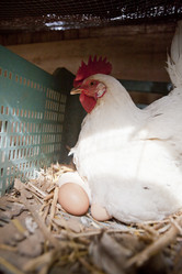 Similar image 12205166