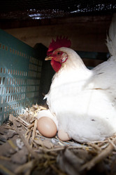 Similar image 12205187