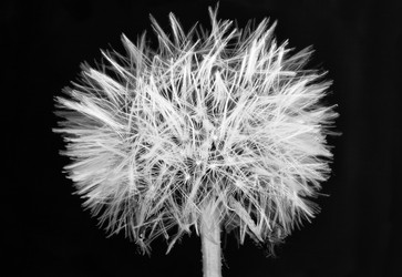 Similar image 12202098