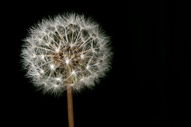 Similar image 12202099