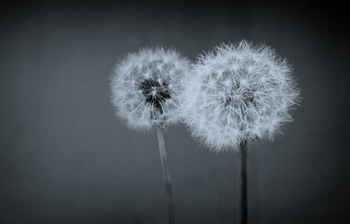 Similar image 12202119