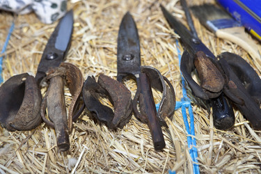 Similar image 12202122