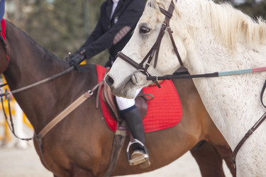 Similar image 12201784