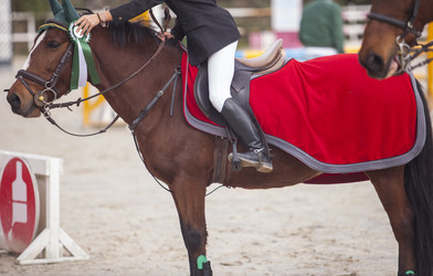 Similar image 12202028