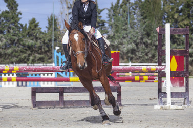 Similar image 12202084