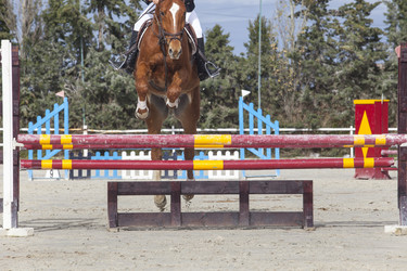 Similar image 12201817