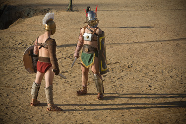 Similar image 12202031