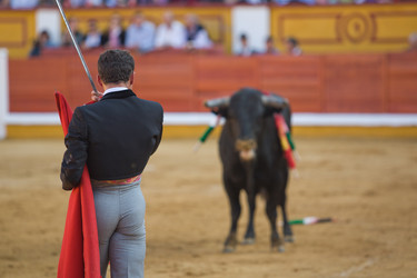 Similar image 12202086