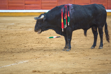 Similar image 12202100