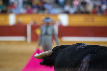 Similar image 12202126