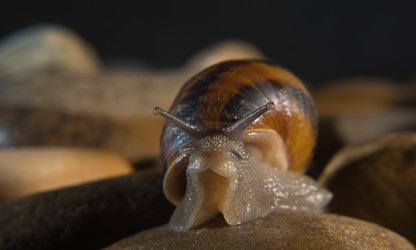 Similar image 12201851