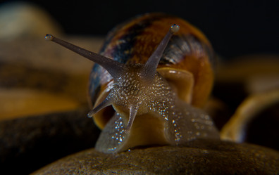 Similar image 12202204