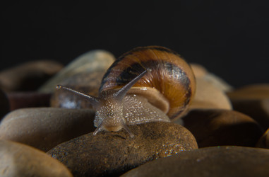 Similar image 12202205