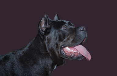 Similar image 12205169