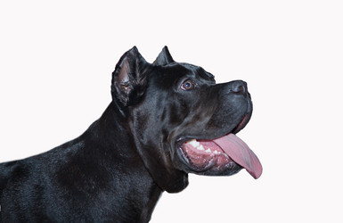 Similar image 12205190