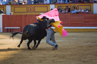 Similar image 12205171