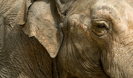 Similar image 12202162